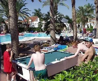 El Palmeral Apartament *