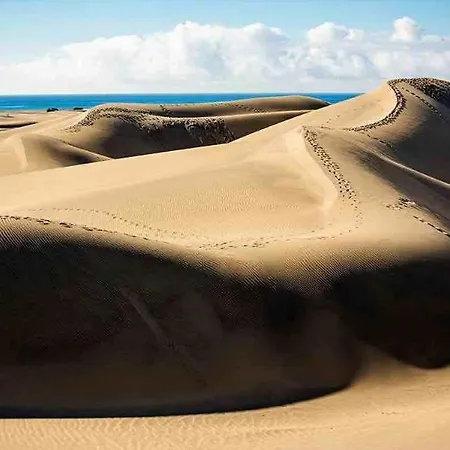 El Palmeral شقة